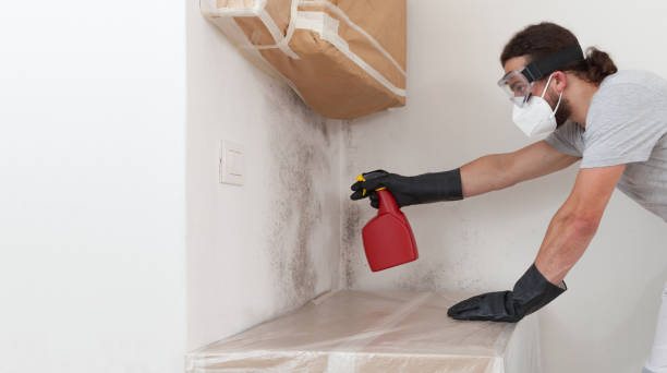 Professional Mold Remediation technician working in Riverside, MD
